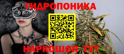 скорость Аргун