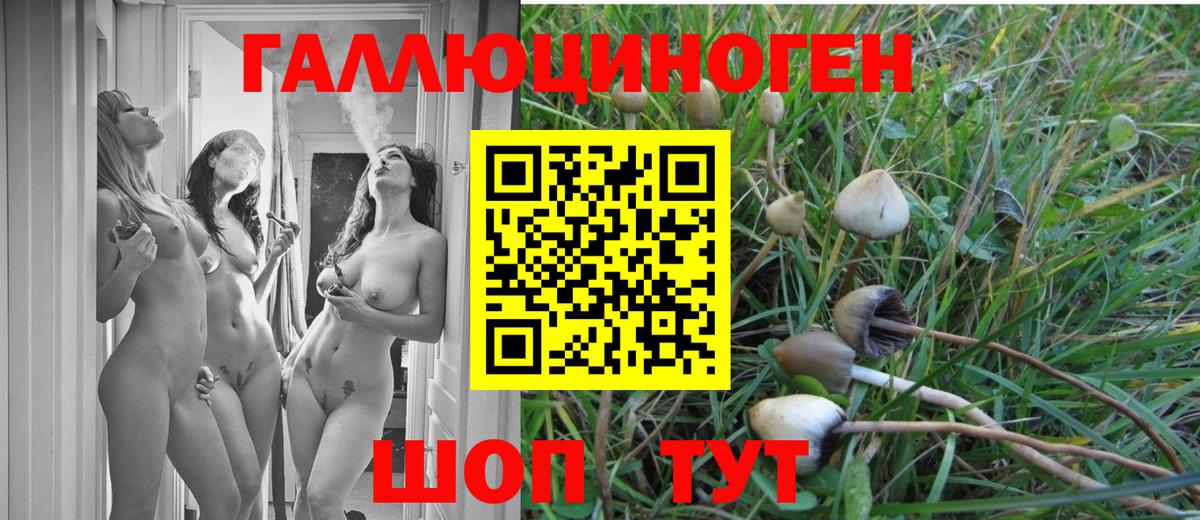 Асбест  Псилоцибиновые грибы мицелий  Вход с VPN 